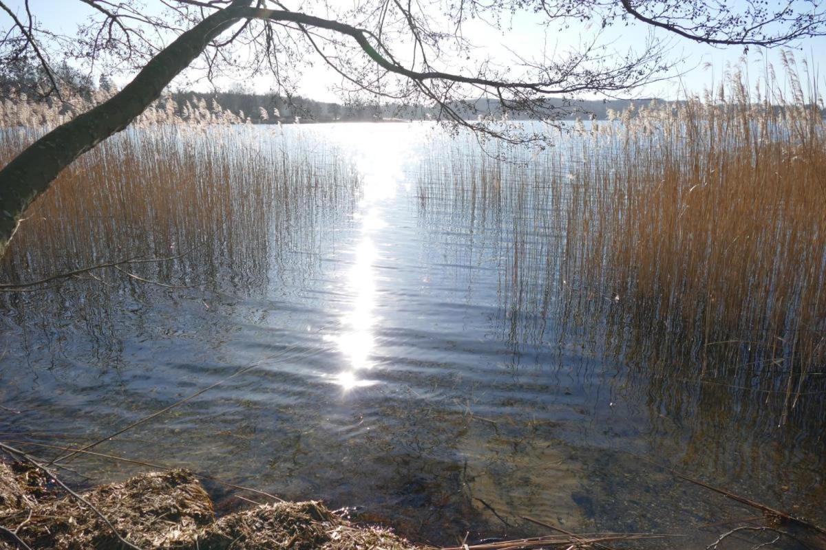Landhaus Am See App. 2 Ponitz am See Екстер'єр фото