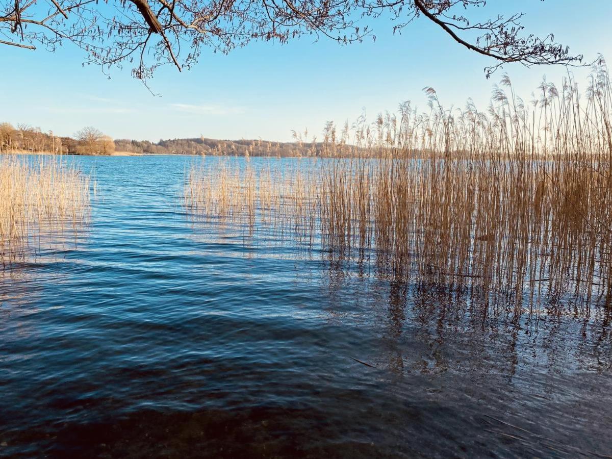 Landhaus Am See App. 2 Ponitz am See Екстер'єр фото